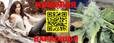 ГАЛЛЮЦИНОГЕННЫЕ ГРИБЫ Нальчик