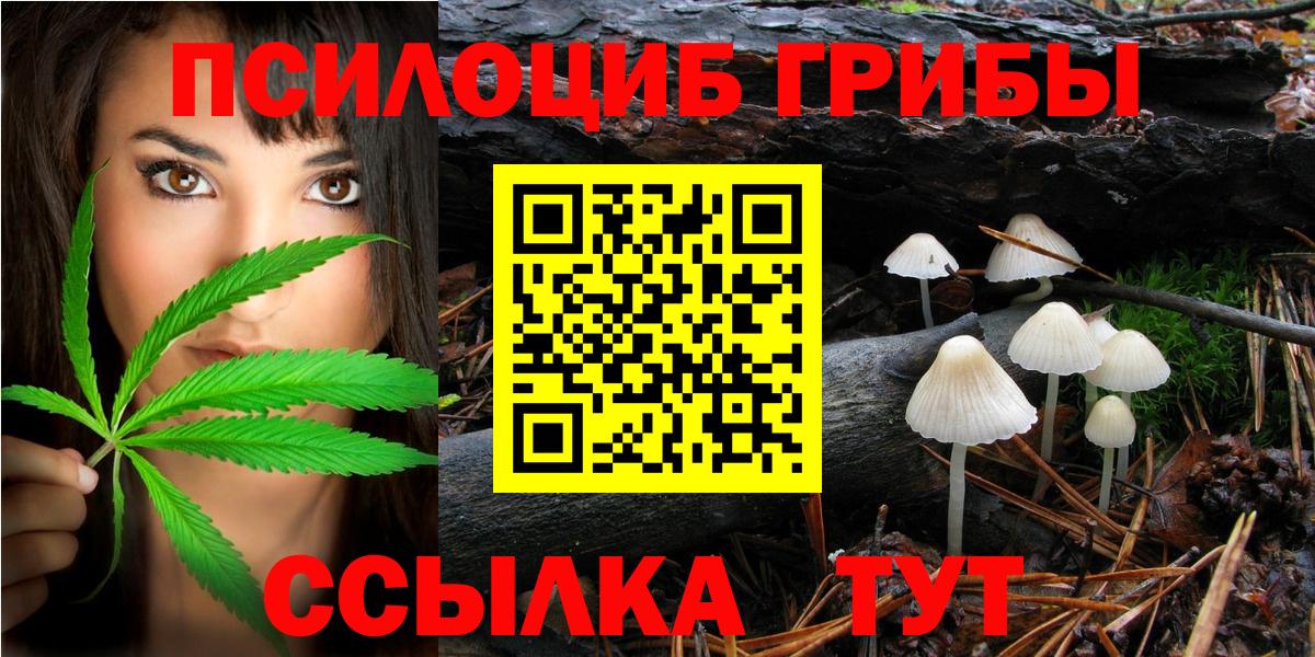 Туапсе  Галлюциногенные грибы Magic Shrooms  Вход с VPN 