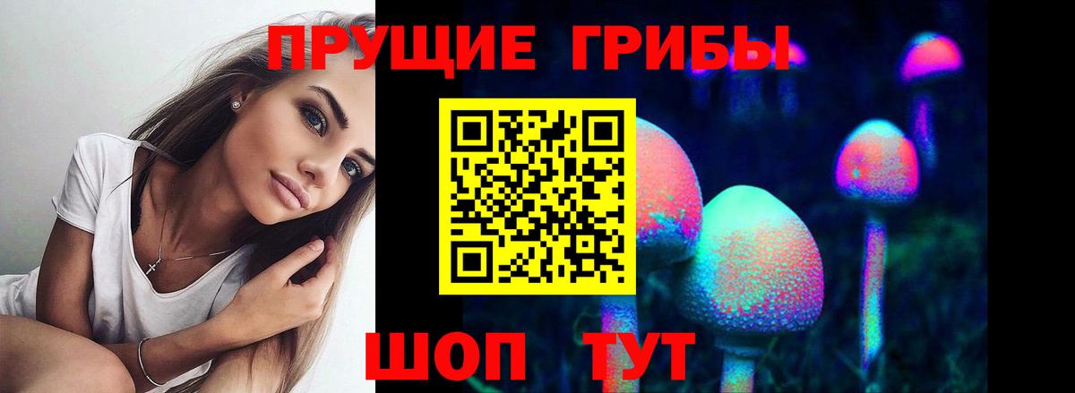 Галлюциногенные грибы GOLDEN TEACHER Туапсе